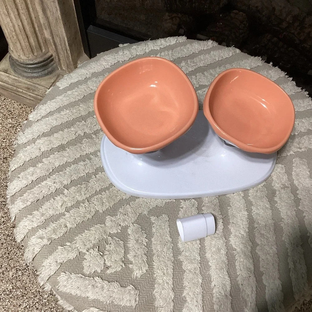 New 2 piece dog bowl set